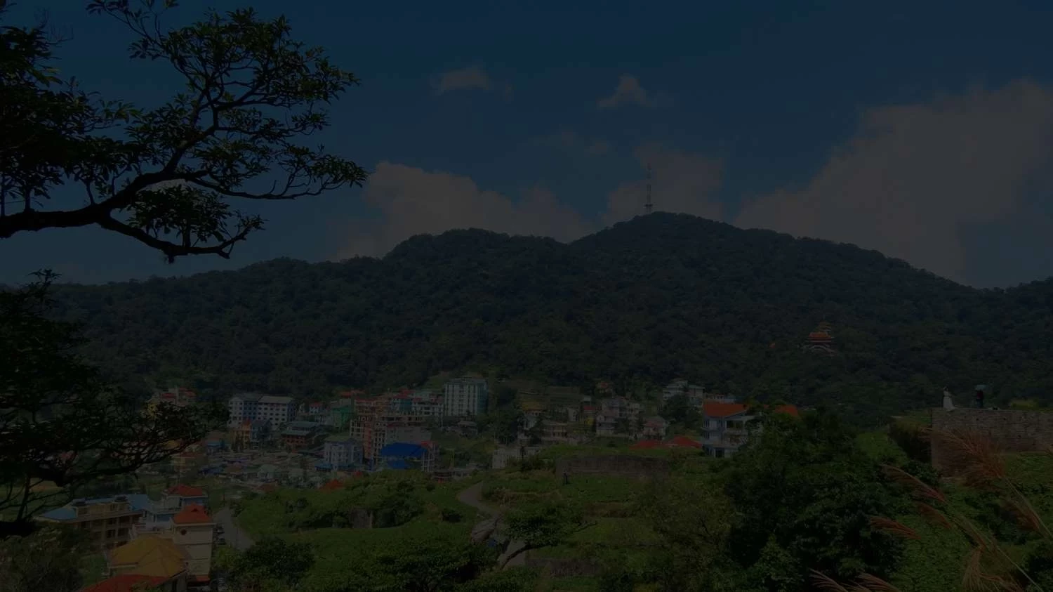bg-tamdao